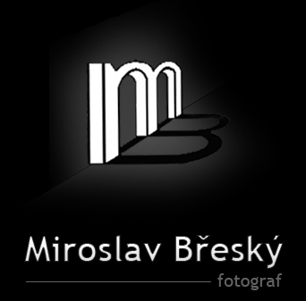 Miroslav Břeský